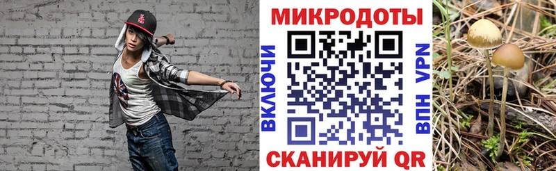 мега   Томмот  Псилоцибиновые грибы мухоморы 